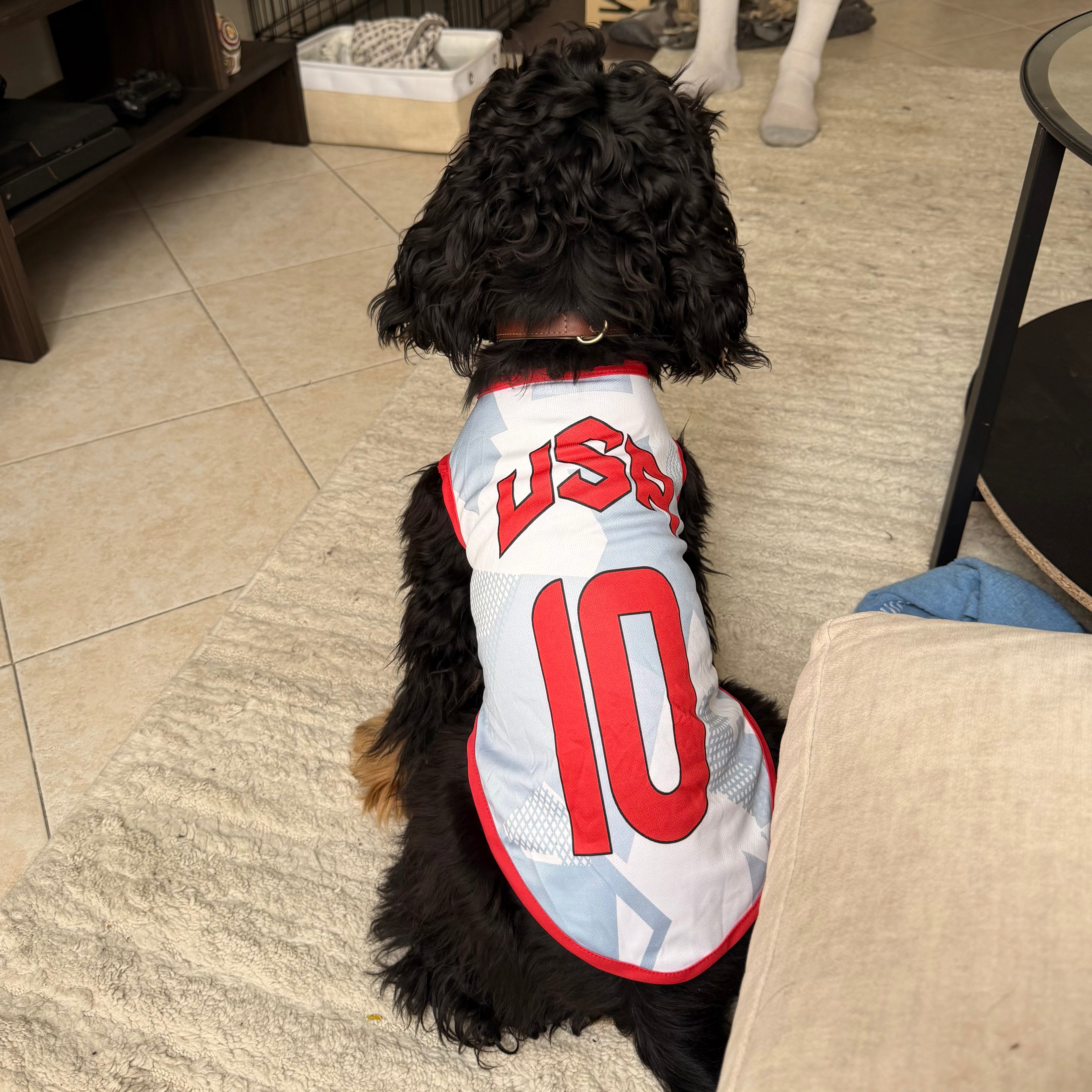 USA Dog Soccer Jersey – Lightweight & Breathable