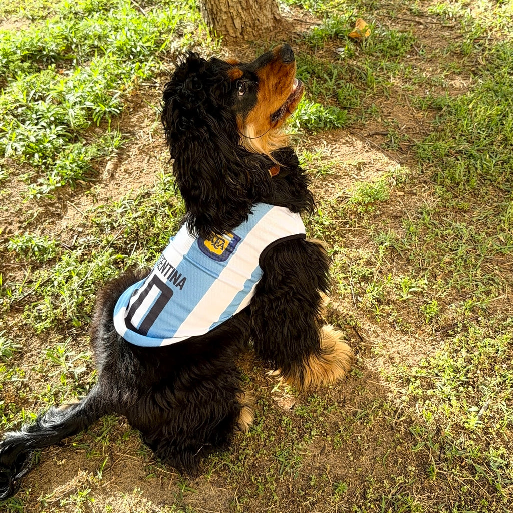 Camiseta de fútbol argentina para perros – Ligera y transpirable