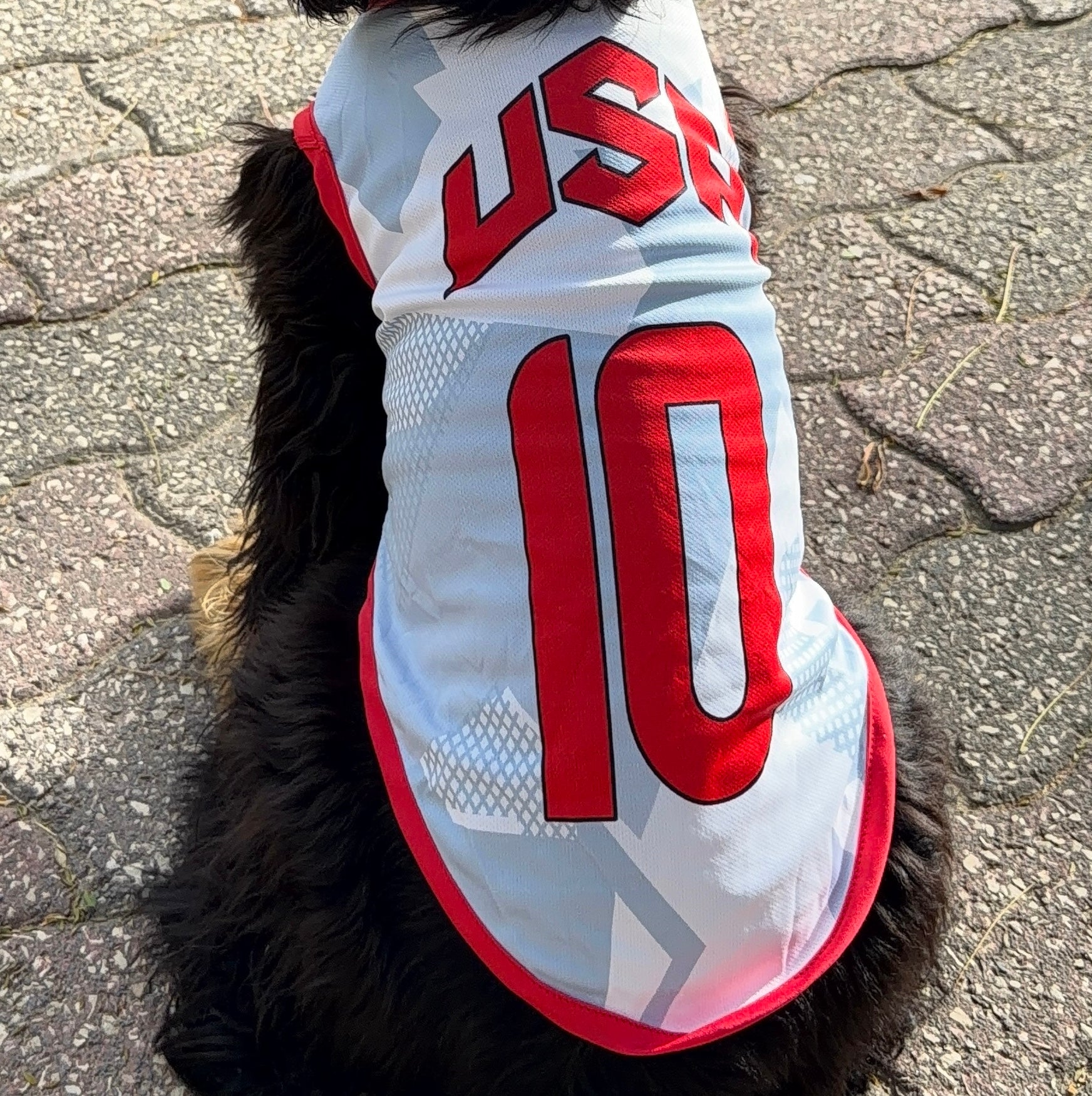 USA Dog Soccer Jersey – Lightweight & Breathable