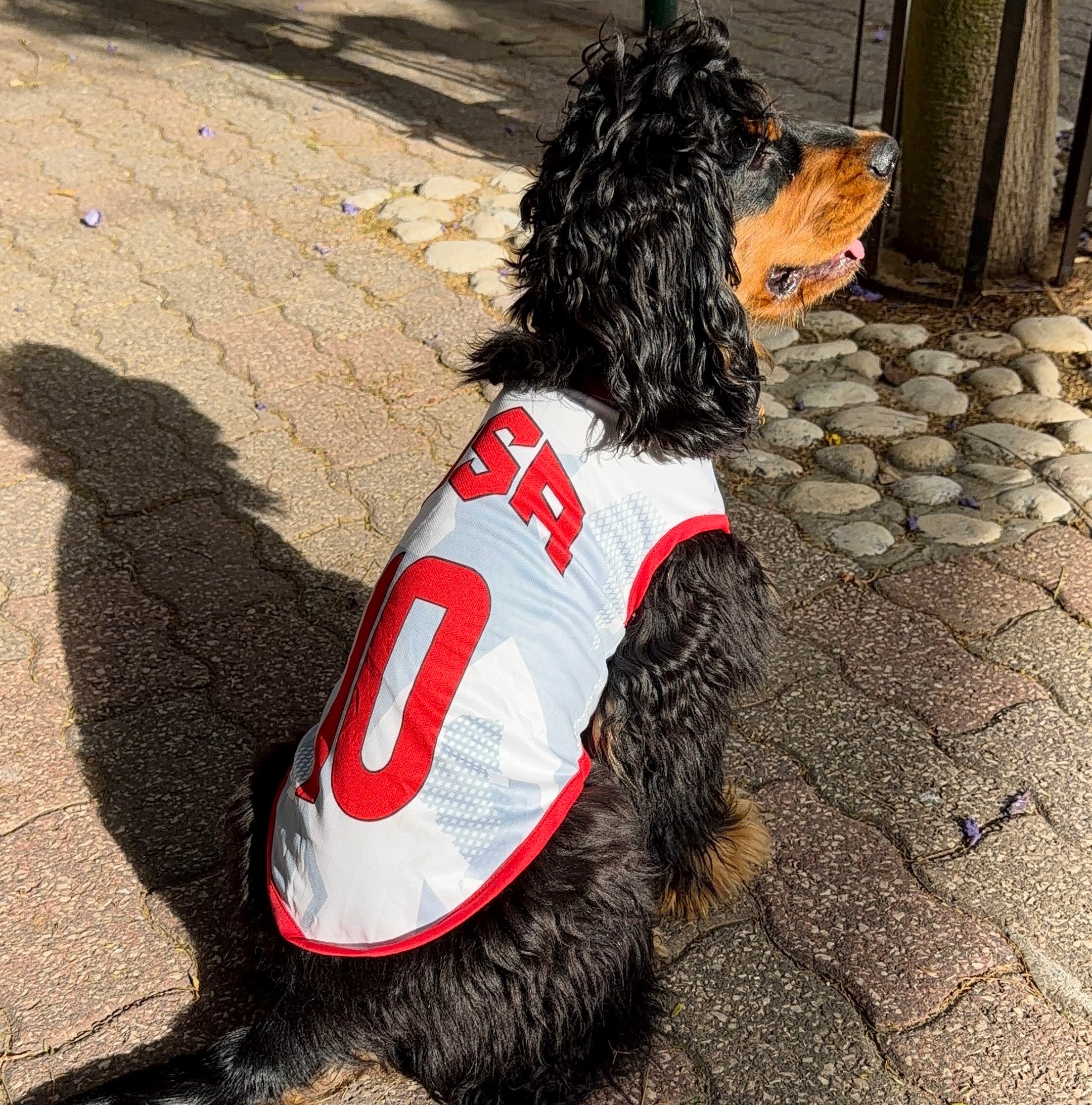 USA Dog Soccer Jersey – Lightweight & Breathable