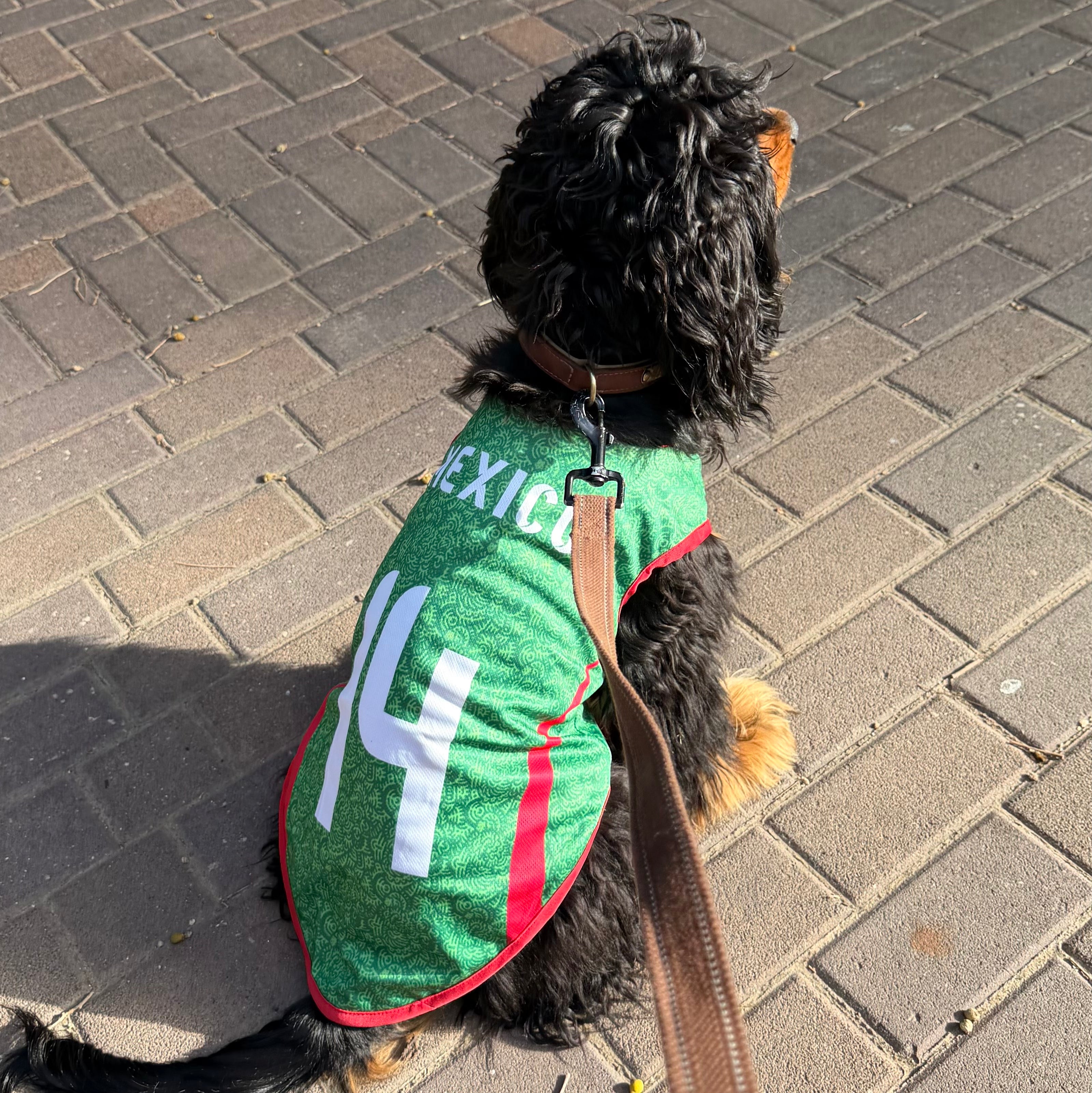 Mexico Dog Soccer Jersey – Lightweight & Breathable