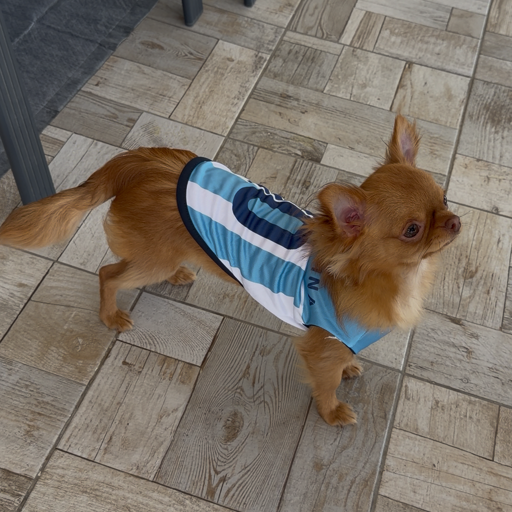 Camiseta de fútbol argentina para perros – Ligera y transpirable