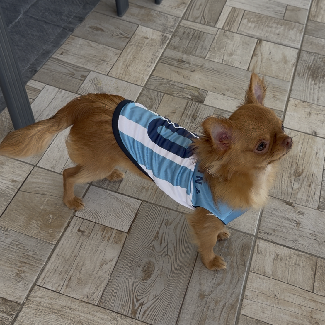 Camiseta de fútbol argentina para perros – Ligera y transpirable