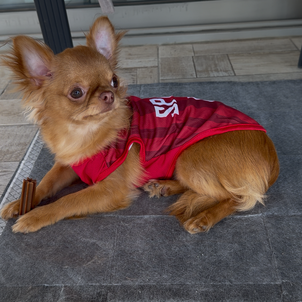 Spain Dog Soccer Jersey – Lightweight & Breathable