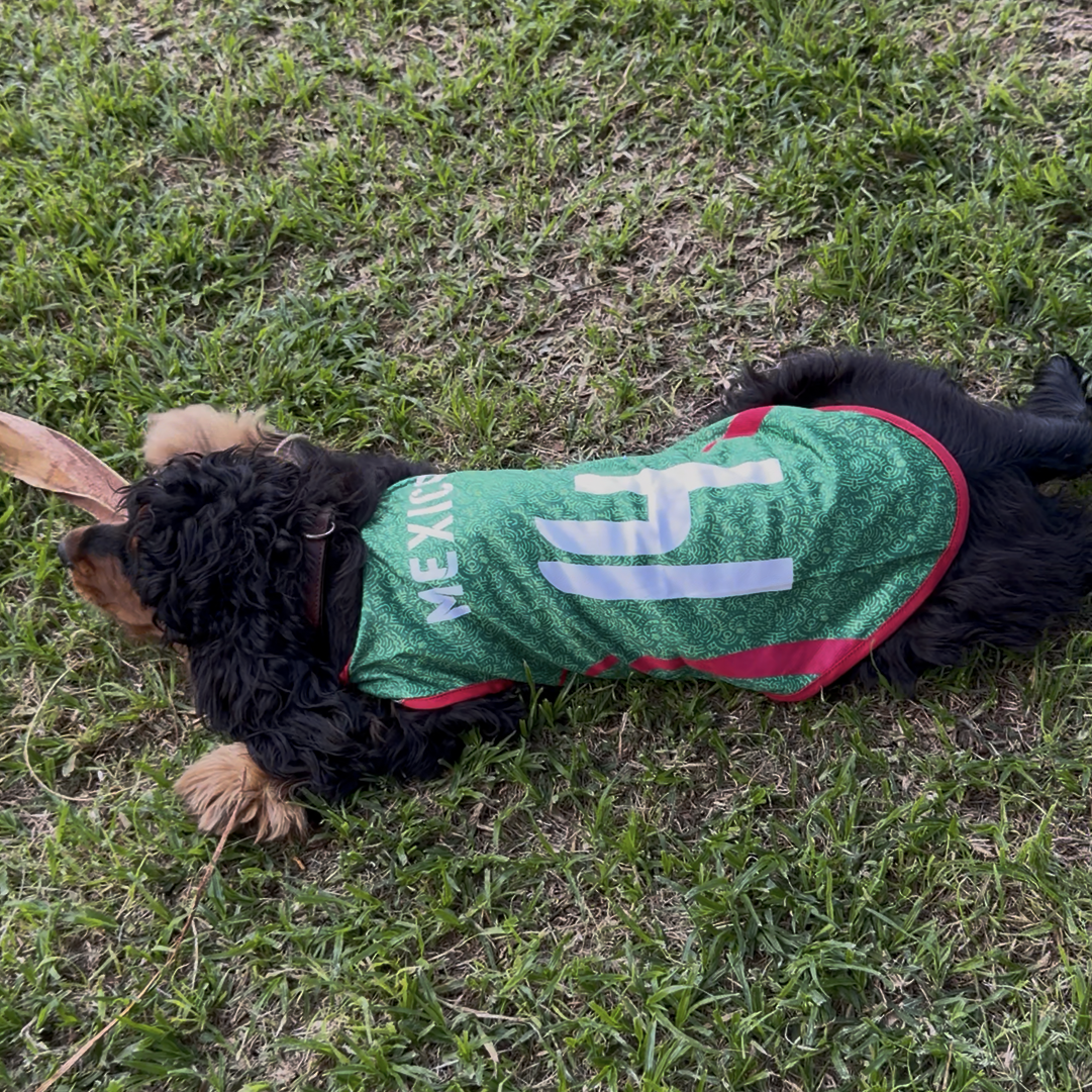 Mexico Dog Soccer Jersey – Lightweight & Breathable